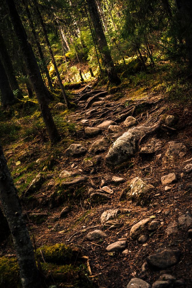 Photograph by Алексей Патрушев