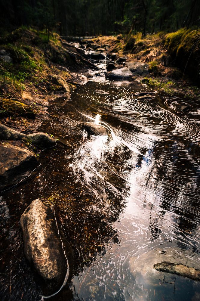 Photograph by Алексей Патрушев