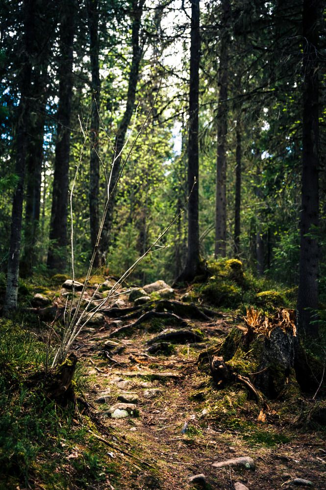 Photograph by Алексей Патрушев