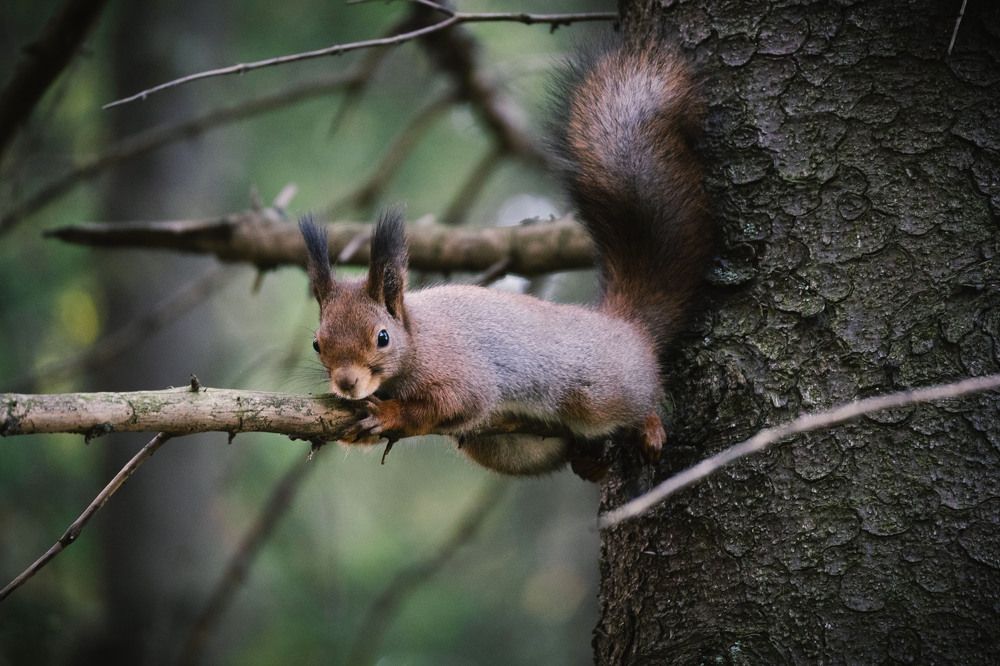 Photograph by Сергей Филатов