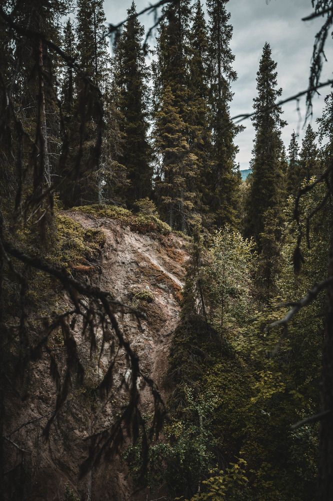 Photograph by Торопов Александр