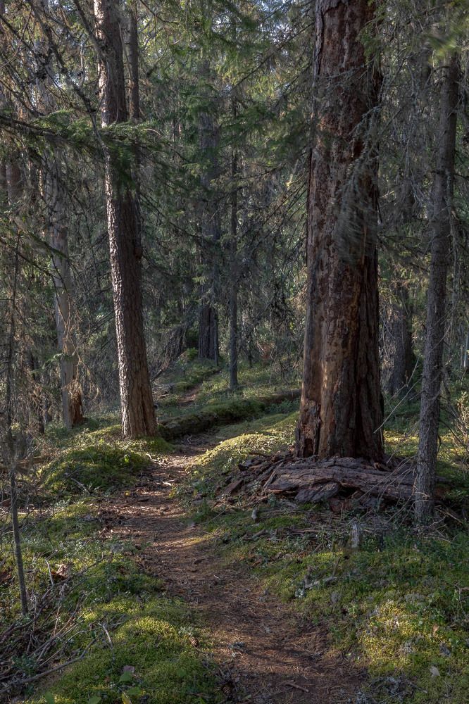 Photograph by Торопов Александр