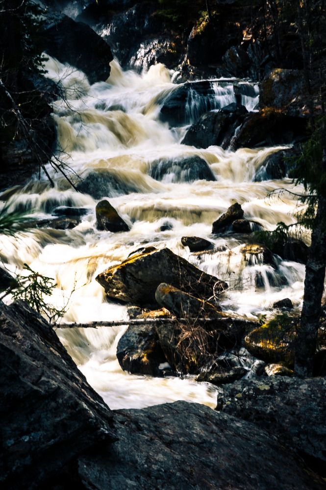 Photograph by Алексей Патрушев