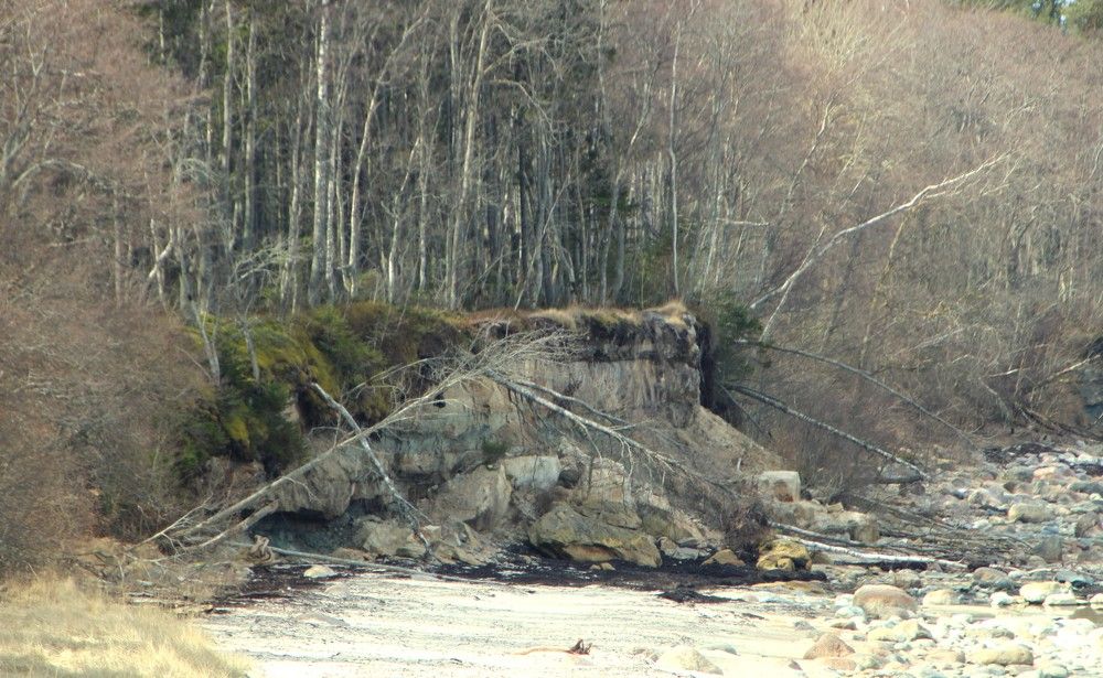 Photograph by Anna Baykova