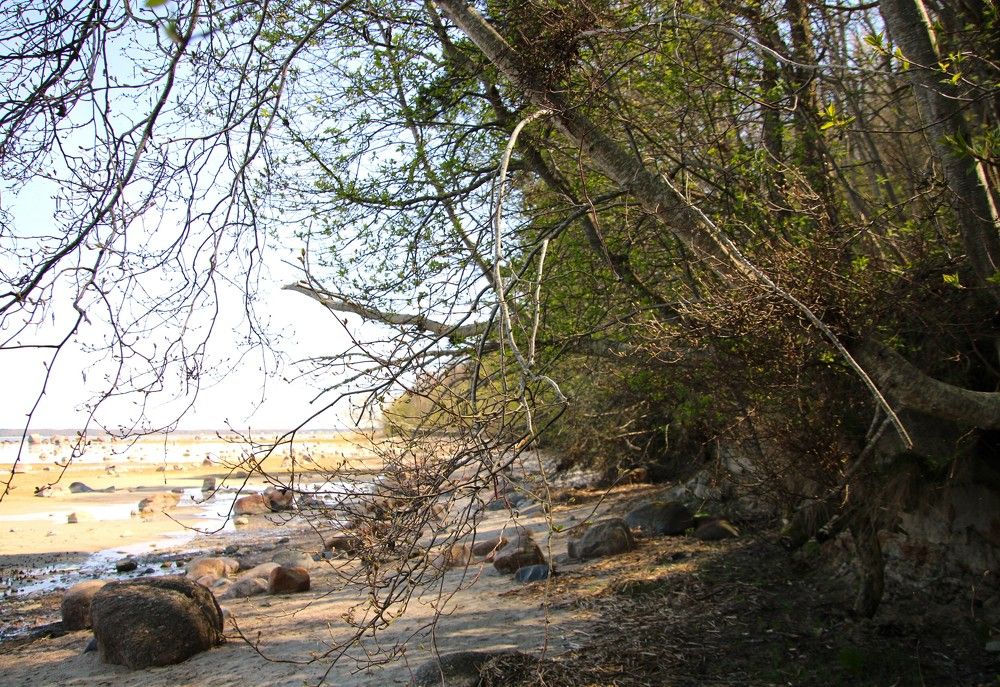 Photograph by Anna Baykova