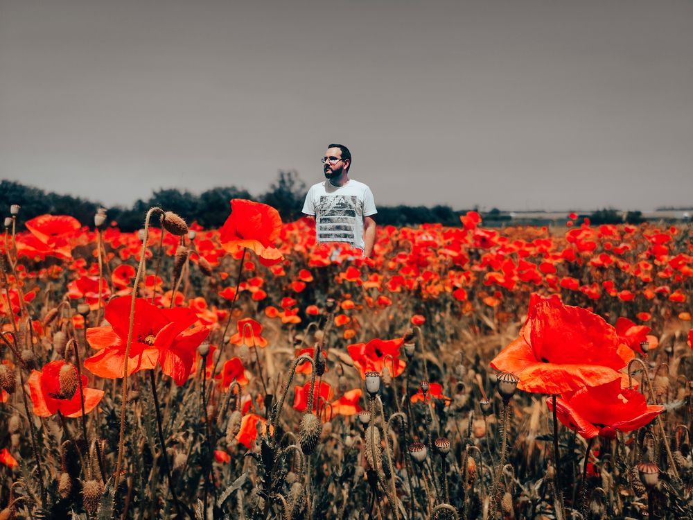 Photograph by Алексей Гуминский