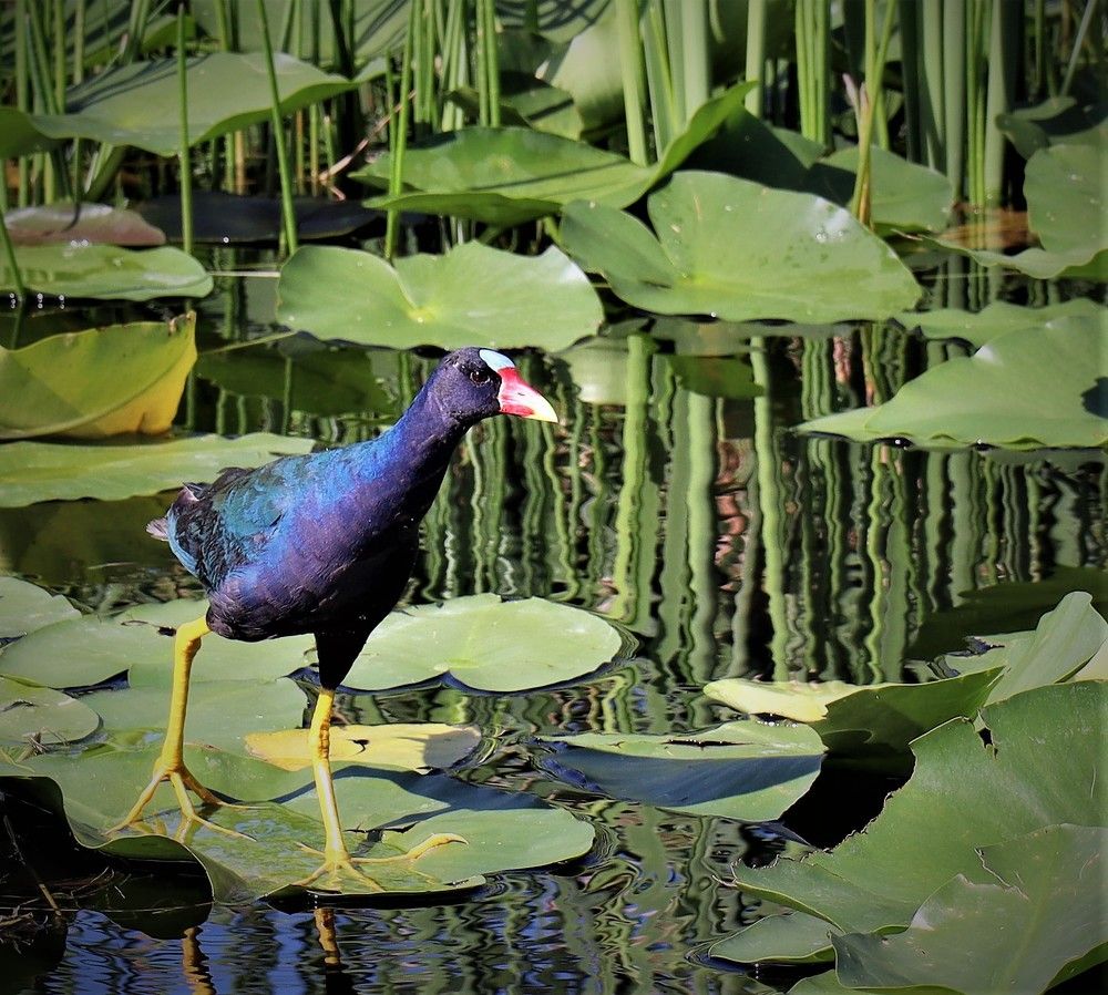 Photograph by Anastasiya Arkin