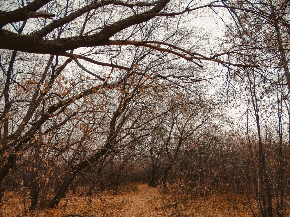 Photograph by Анжелика Трошина