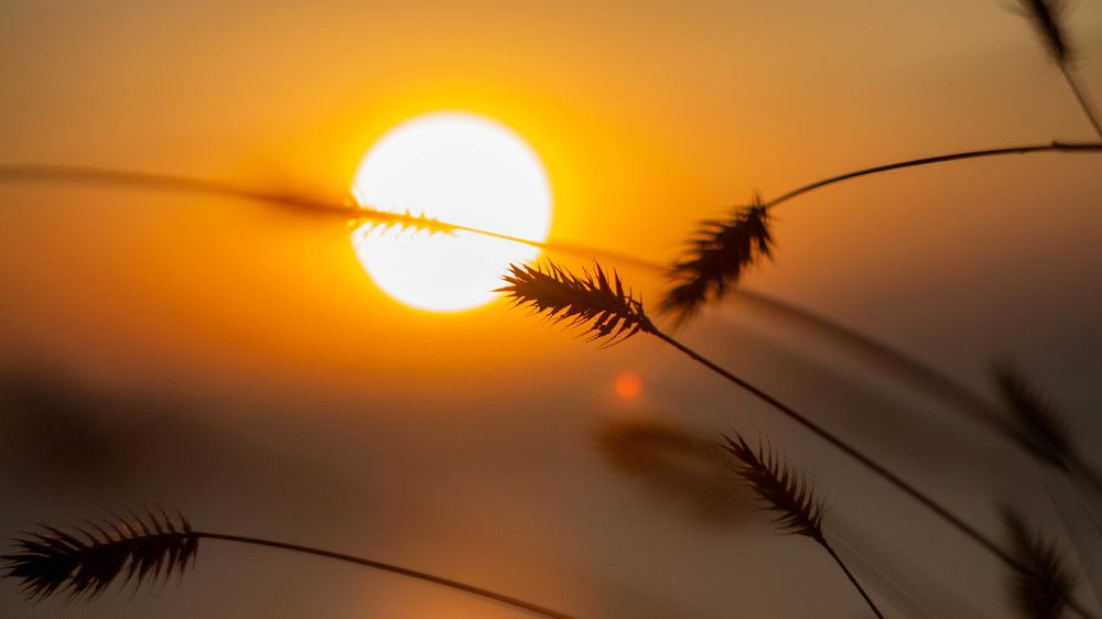 Photograph by Александр Гатилов