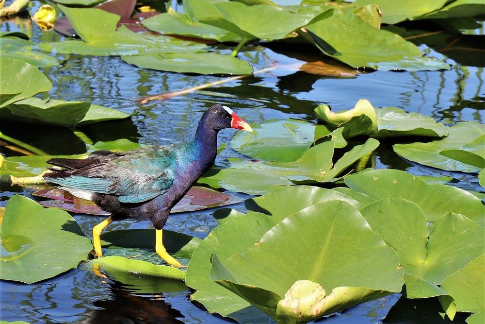 Photograph by Anastasiya Arkin