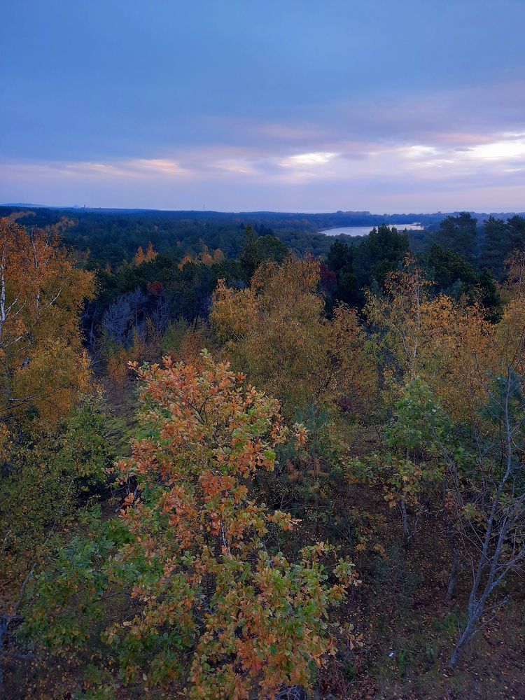 Photograph by Ольга Нагорная