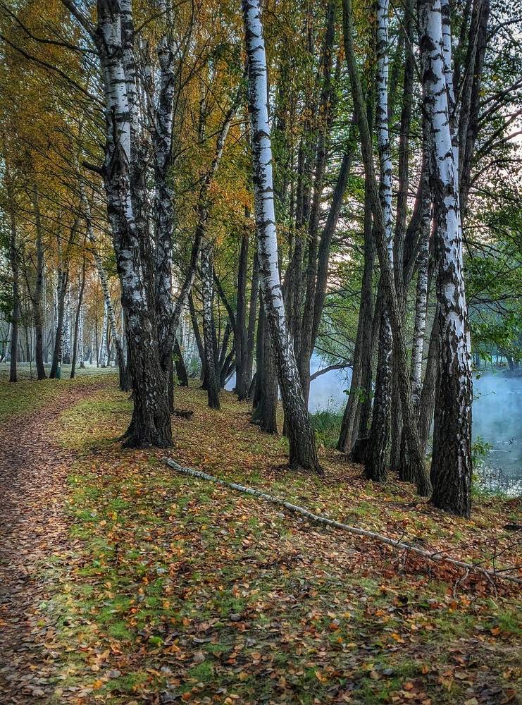 Photograph by Владимир Шаруба