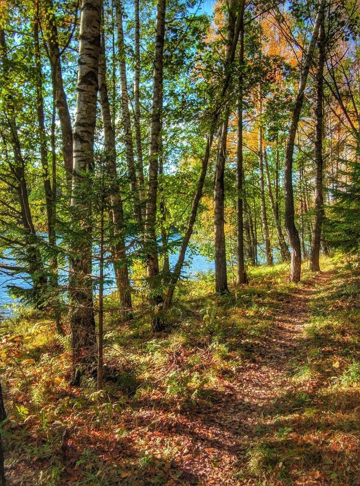 Photograph by Владимир Шаруба