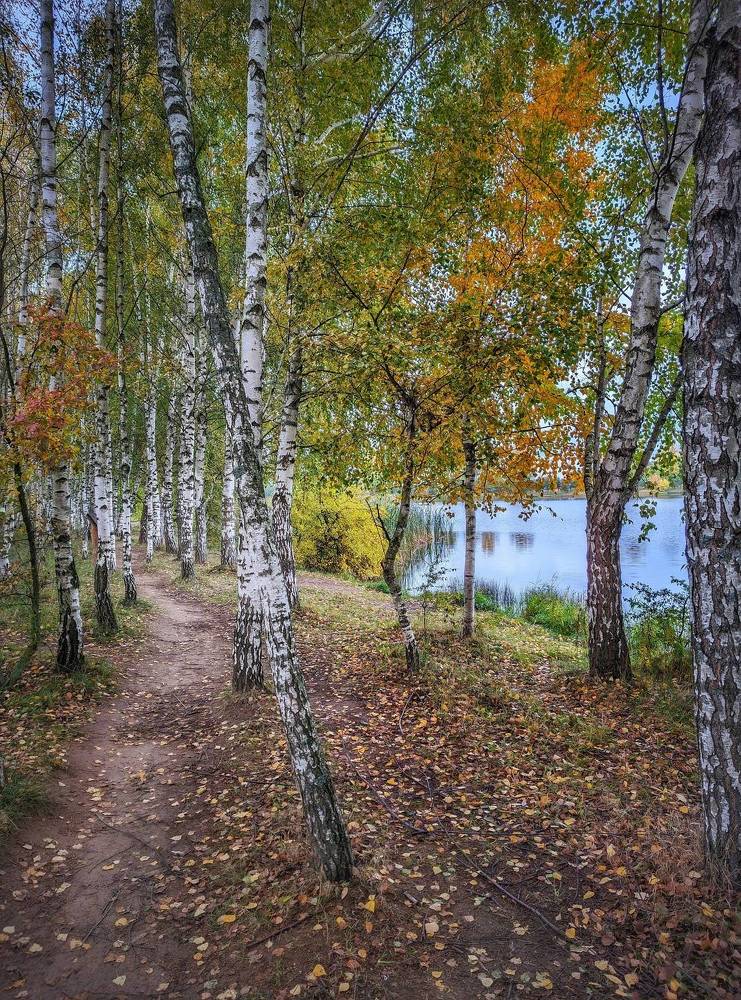 Photograph by Владимир Шаруба