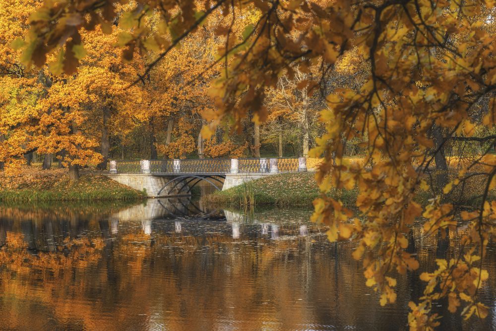 Photograph by Вышарь Максим