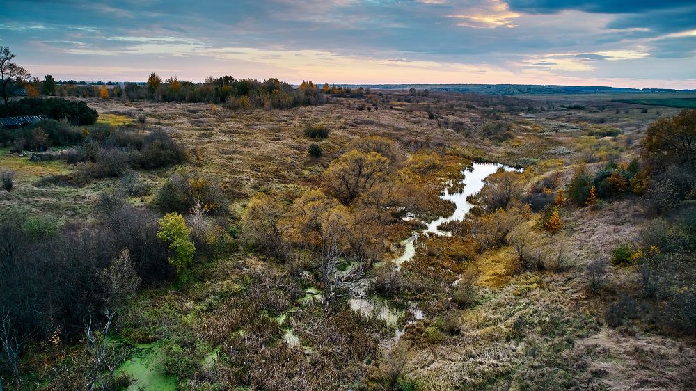 Фотография автора Totoro