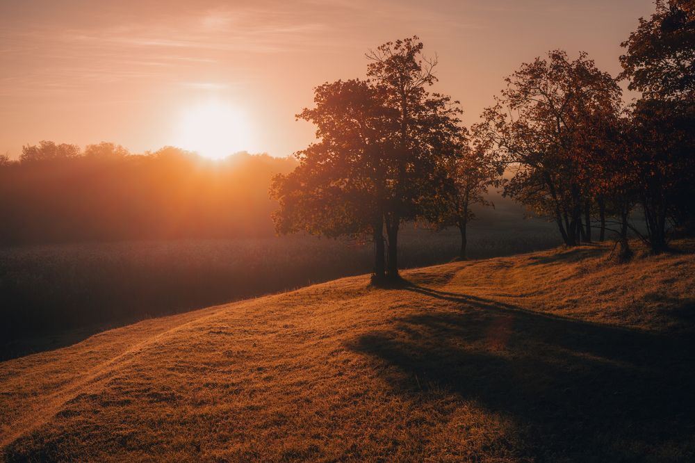 Фотография автора Oleg Suhenko