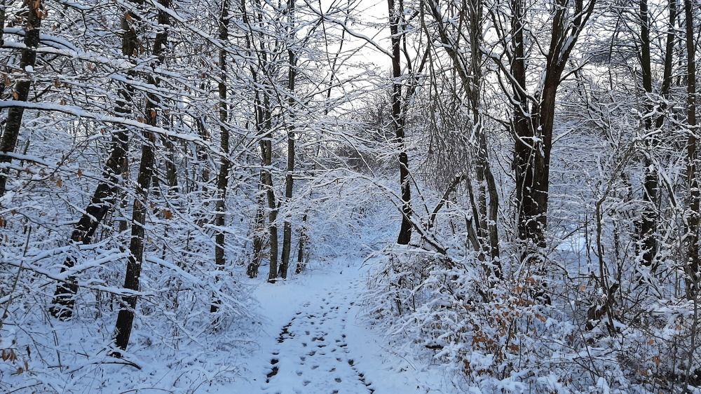 Фотография автора Liliana C.