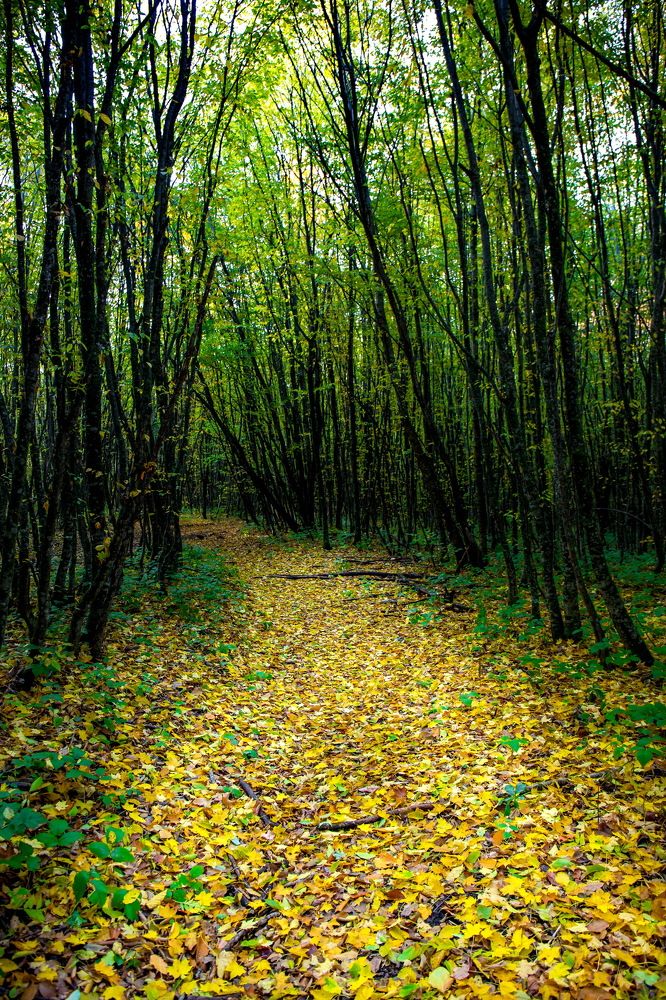 Photograph by Пылаев Александр