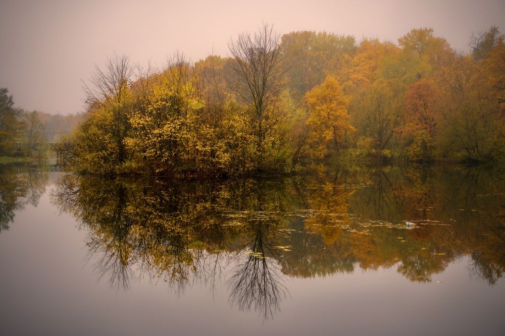 Photograph by Alexey Shevchenko