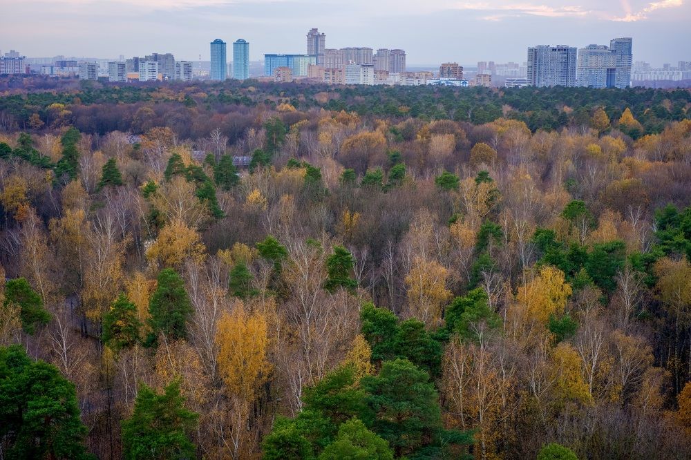 Photograph by Alexey Shevchenko