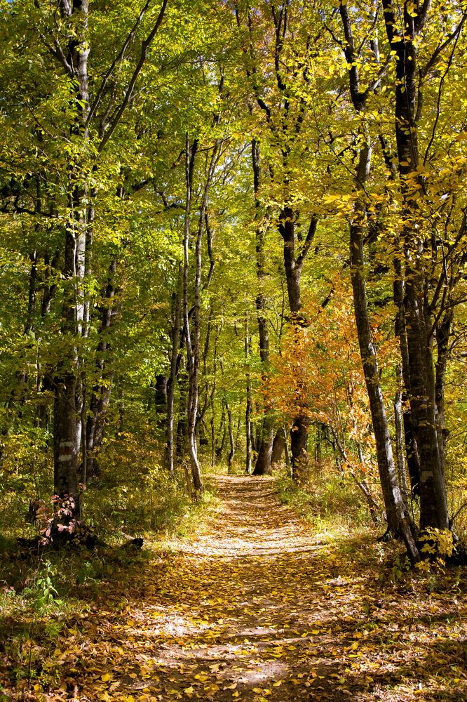 Photograph by Пылаев Александр