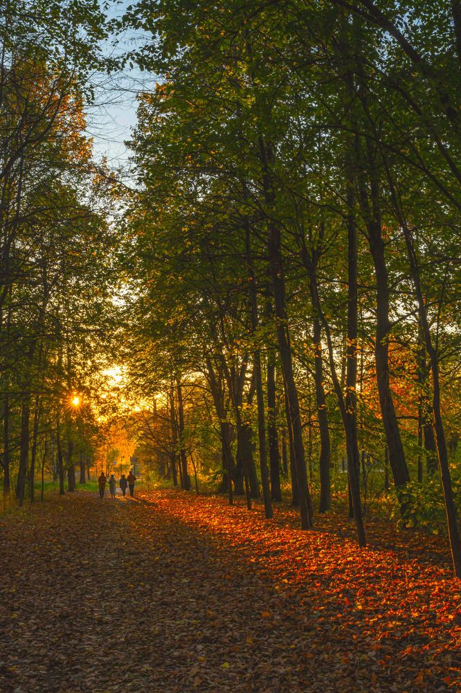 Photograph by Марина Короткова