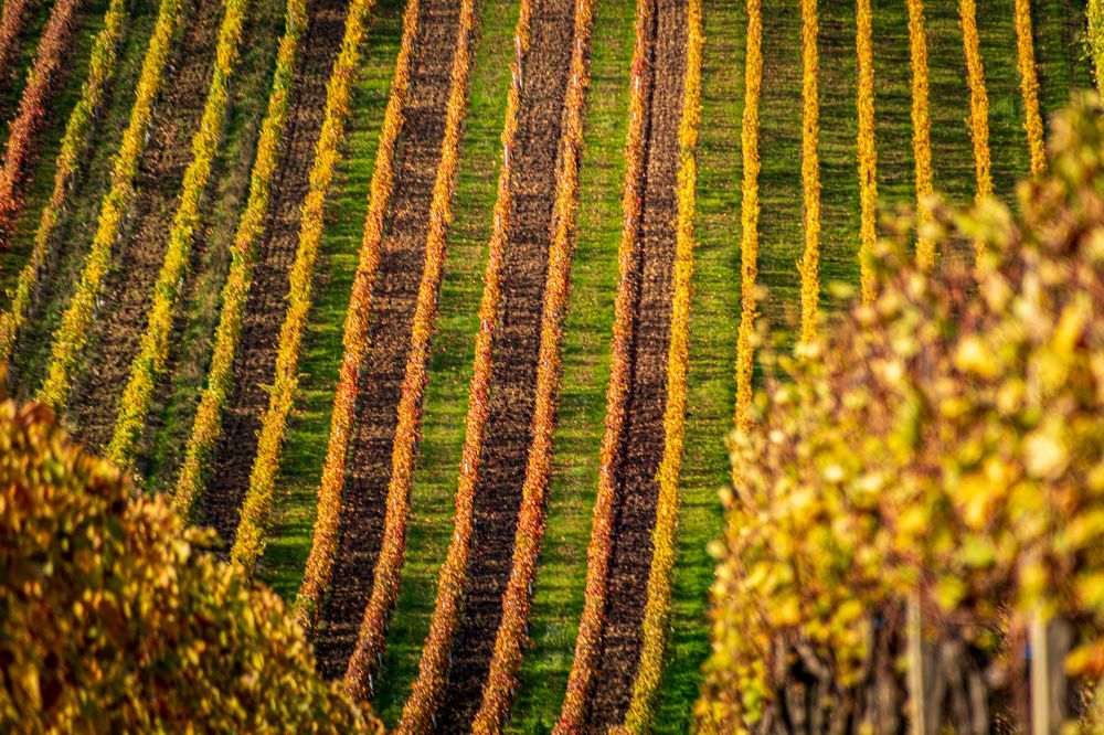 Photograph by Olga Arune