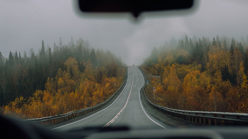 Фотография автора Мария Михайлова