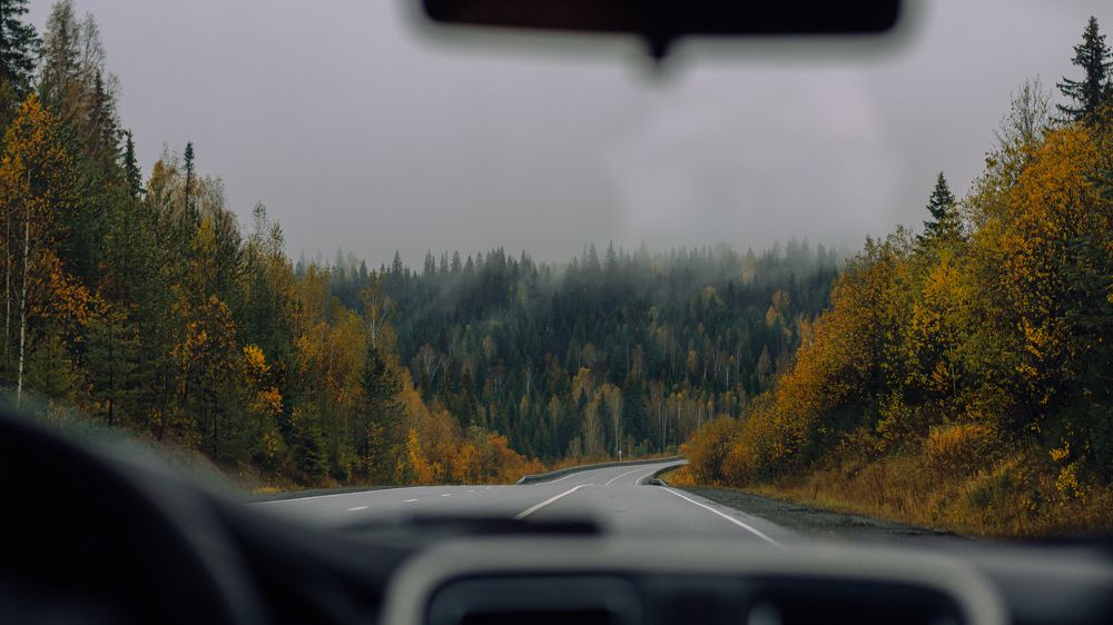 Фотография автора Мария Михайлова