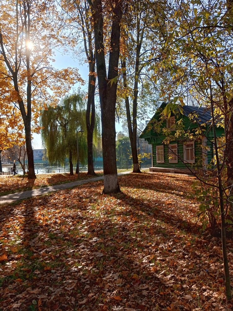 Photograph by Людмила М