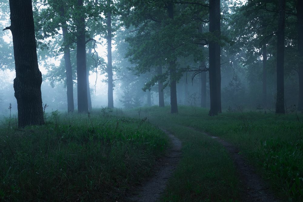 Photograph by Захаров Дмитрий