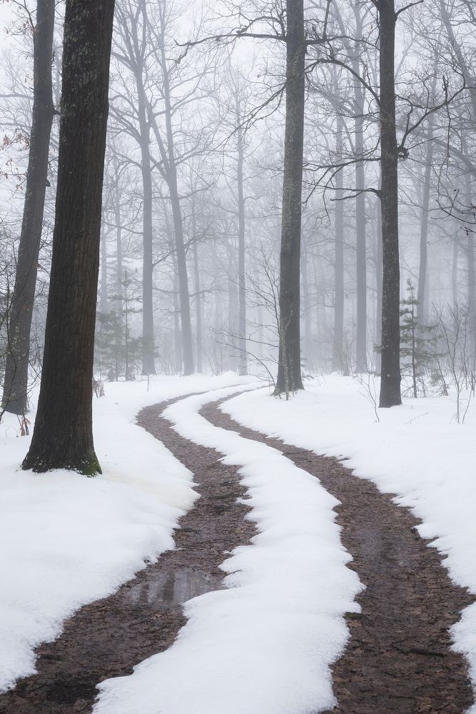 Photograph by Захаров Дмитрий