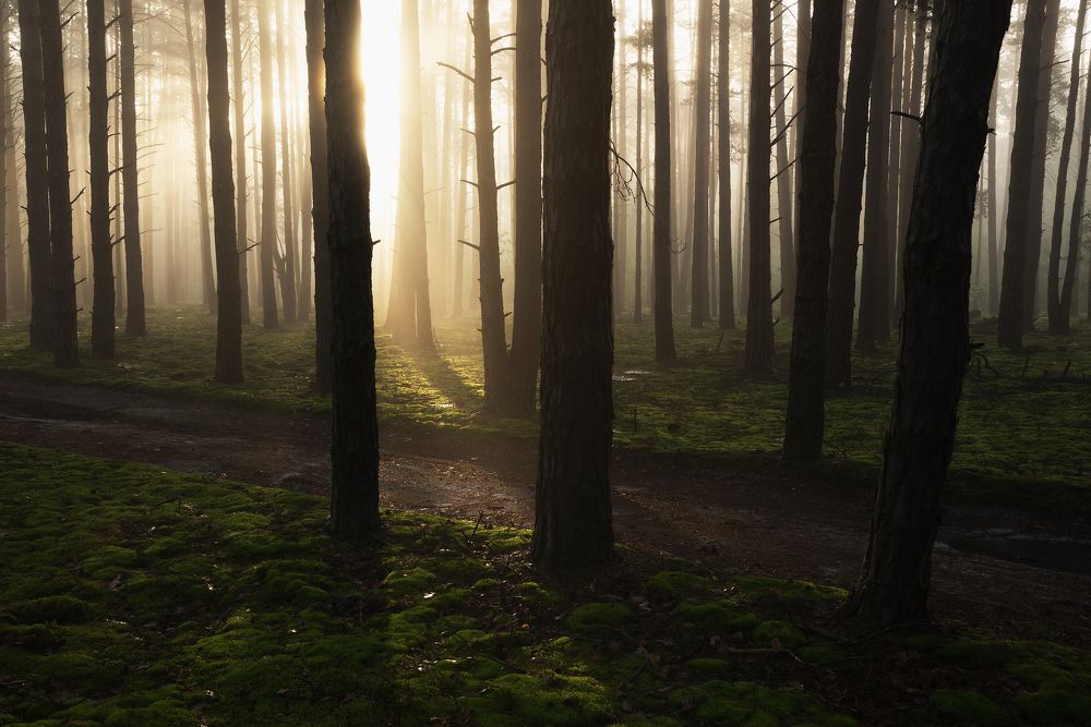 Photograph by Захаров Дмитрий