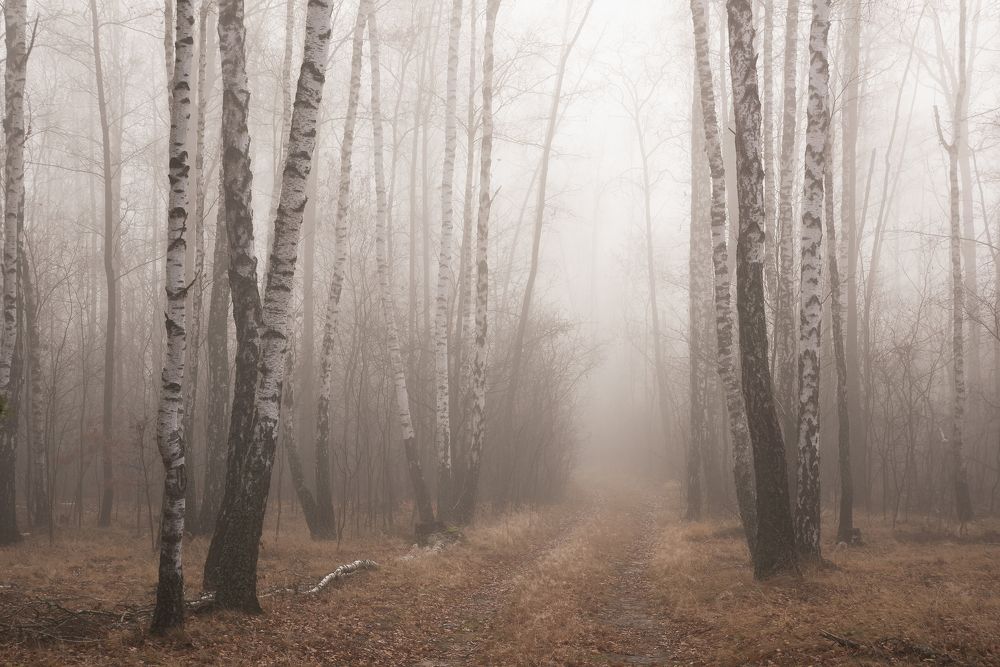 Photograph by Захаров Дмитрий