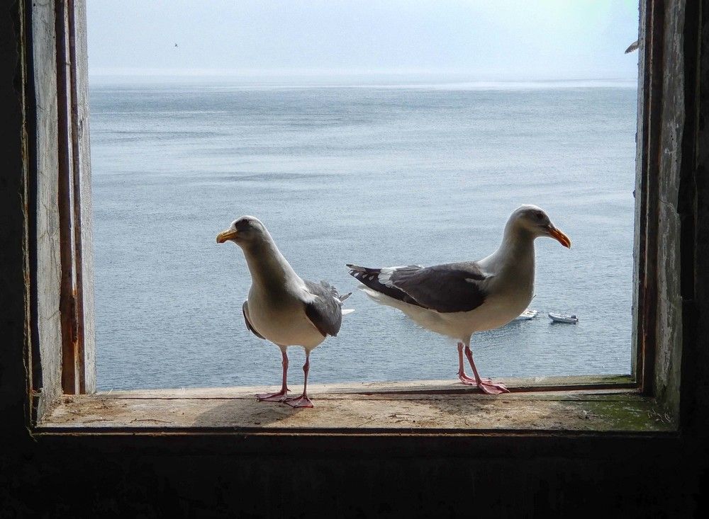 Photograph by София Гавриловна Вотякова