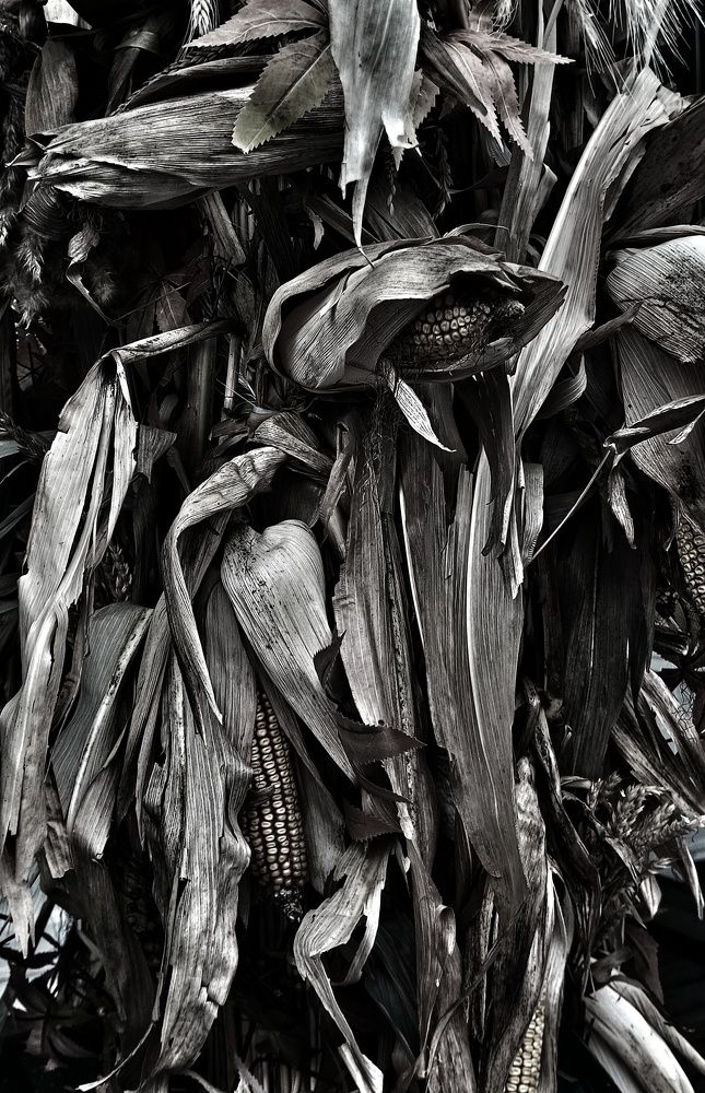 Photograph by Людмила М