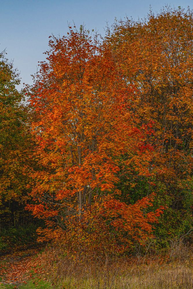 Photograph by Марина Короткова