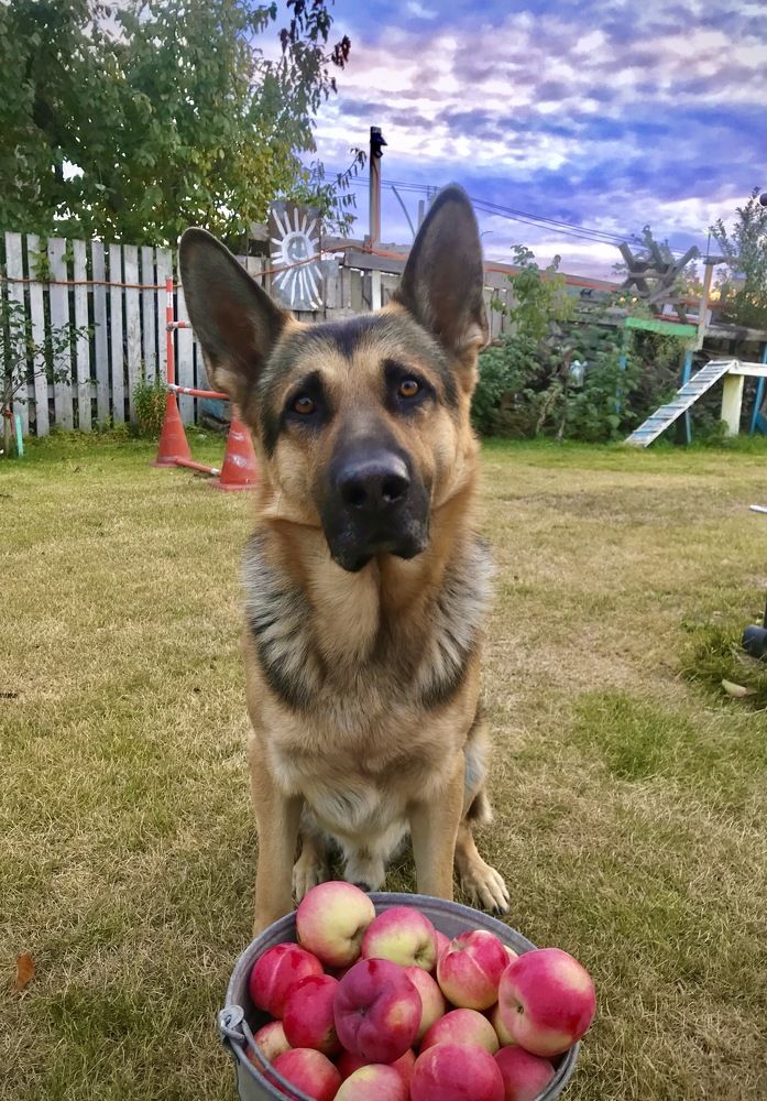 Photograph by Пылаев Александр