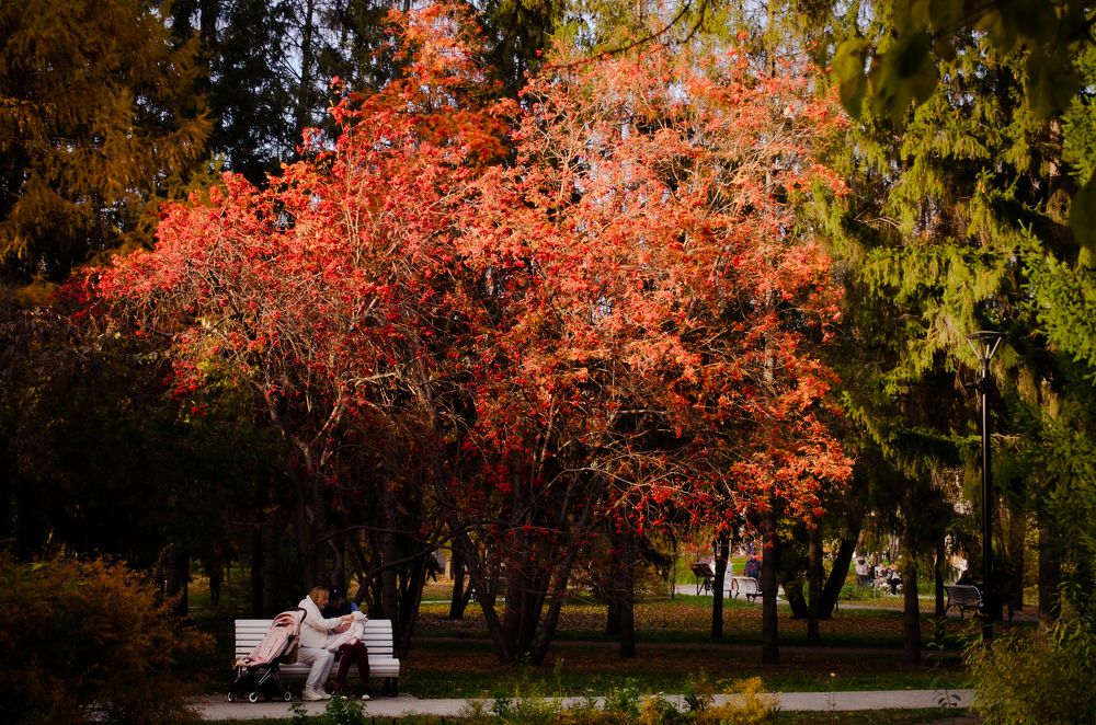 Photograph by Татьяна Герасимцева