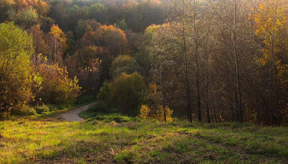 Photograph by Алла Никушкина