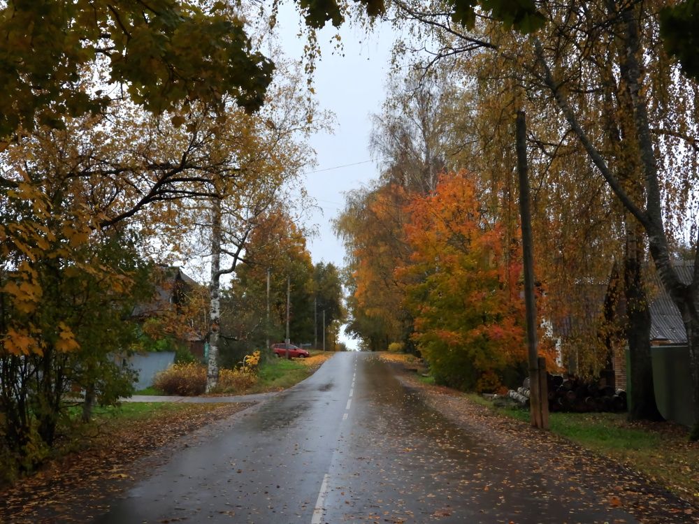 Photograph by Александр Шаварин