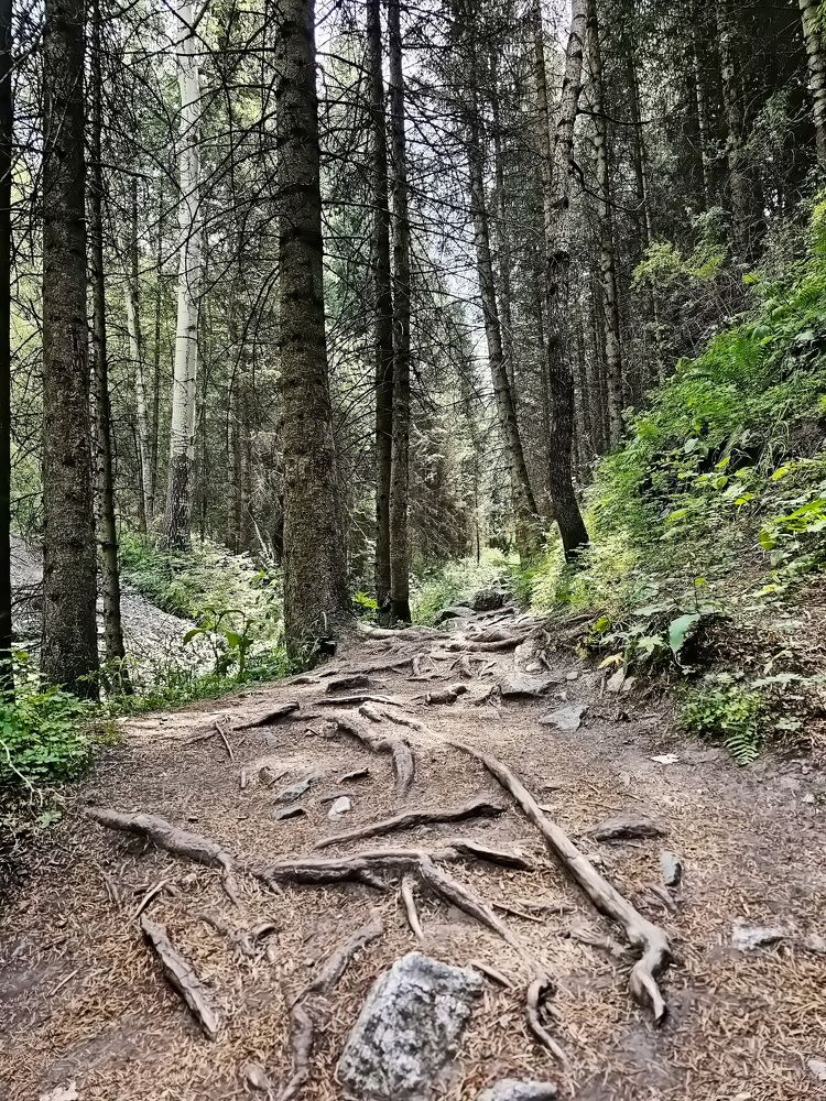 Photograph by Наталья Баранова