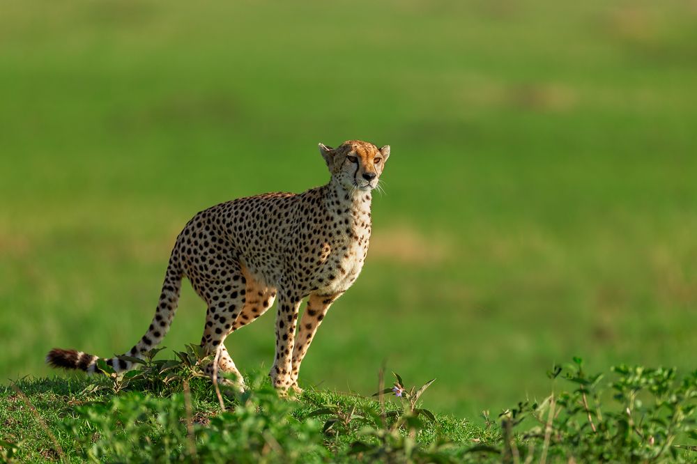 Photograph by Pothanis Sudhir