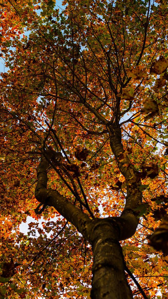 Photograph by Марина Короткова