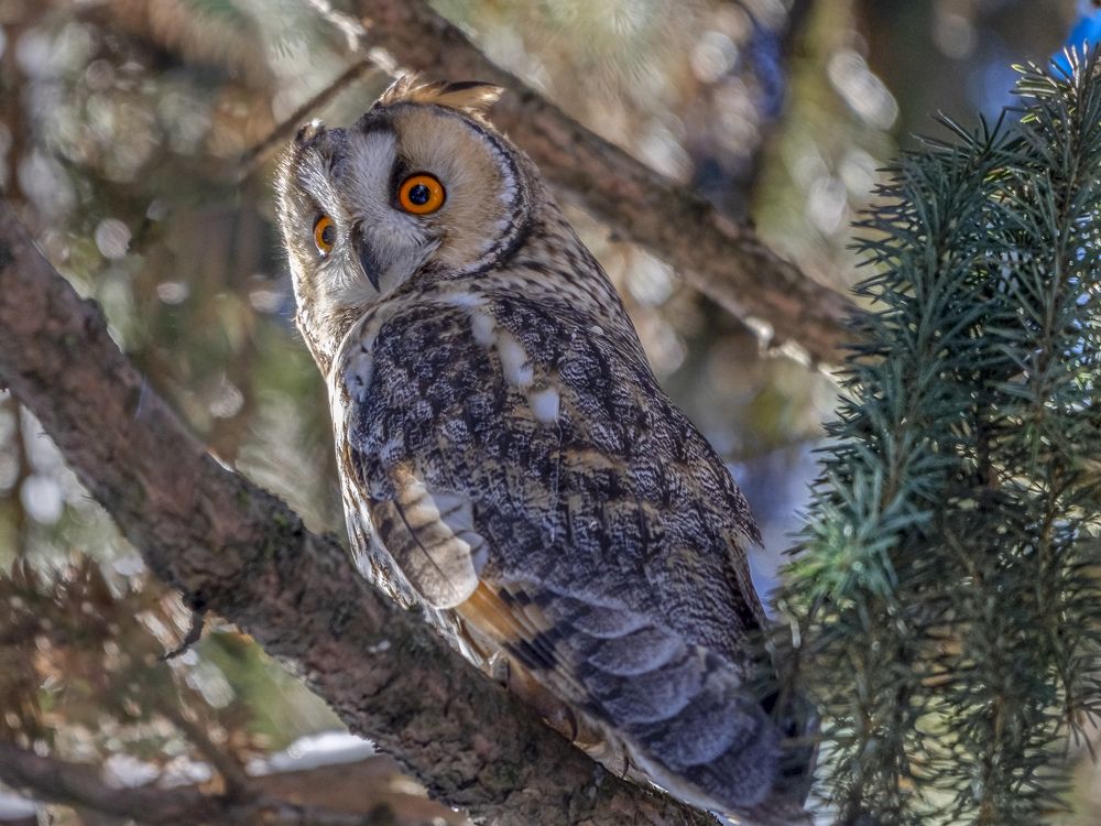 Photograph by АЛЕКСАНДР ПОПИК