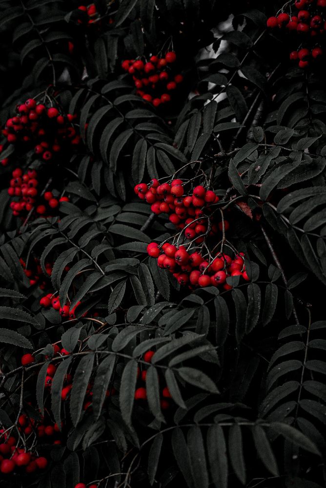 Photograph by Яна Королева