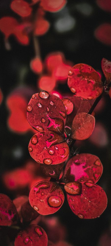 Photograph by Яна Королева