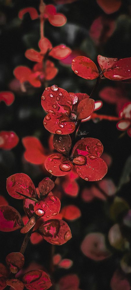 Photograph by Яна Королева