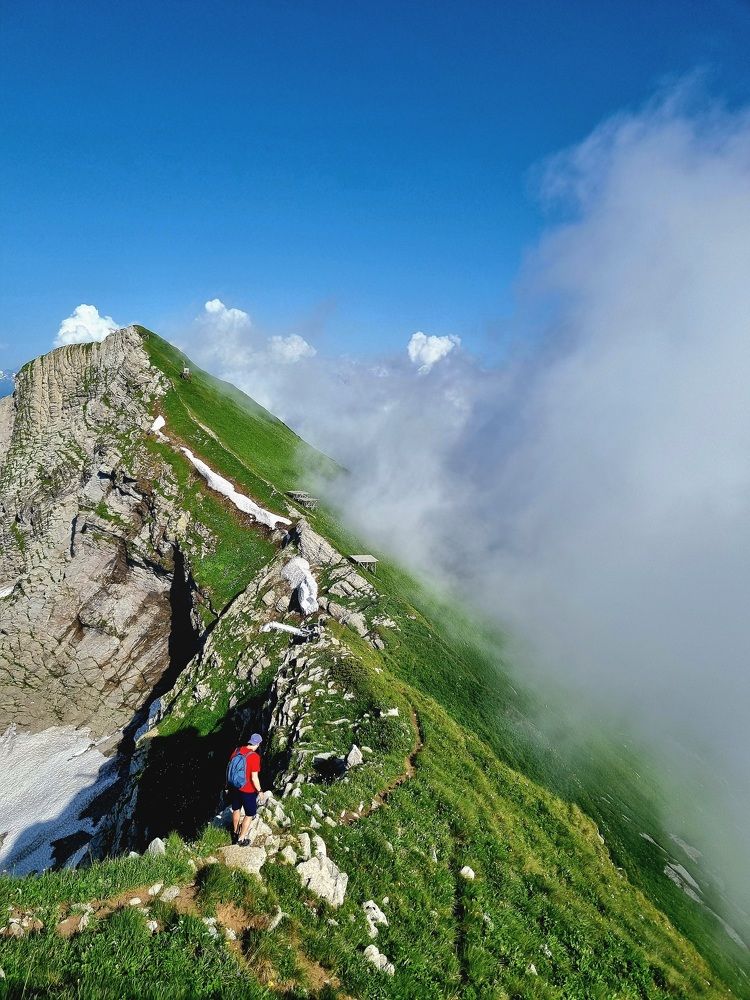 Фотография автора Елена Мурашова